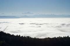 Vue sur le Mont blanc